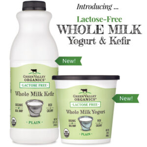 Introducing lactose-free whole milk yogurt and kefir 