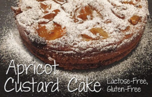 Apricot custard cake lactose-free, gluten free 