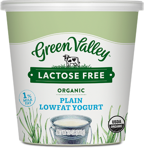 Lactose-Free Organic Plain Yogurt – Lowfat