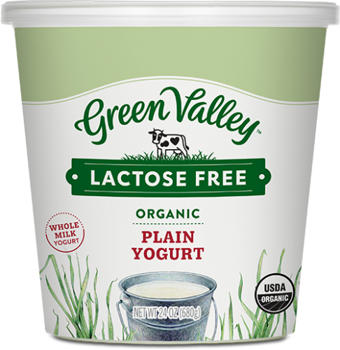 Lactose-Free Organic Plain Yogurt – Whole Milk