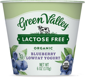 Organic Blueberry Yogurt
