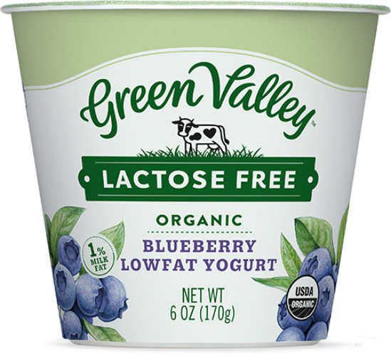 Lactose-Free Organic Blueberry Yogurt