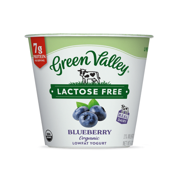 Lactose-Free Organic Blueberry Yogurt 6oz