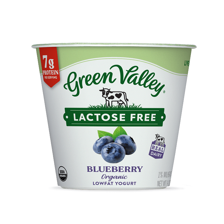 Lactose-Free Organic Blueberry Yogurt 6oz
