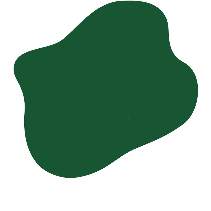 Organic Lactose-Free Cream Cheese