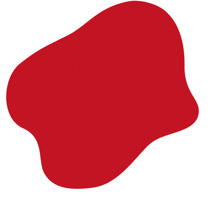 Lactose-Free Shredded 3-Cheese Mexican