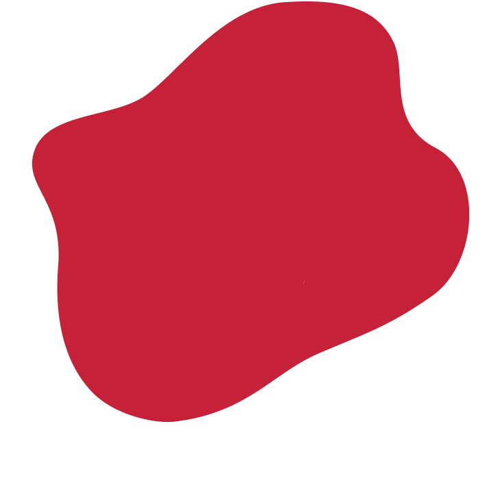 Organic Lactose-Free Strawberry Yogurt 6oz