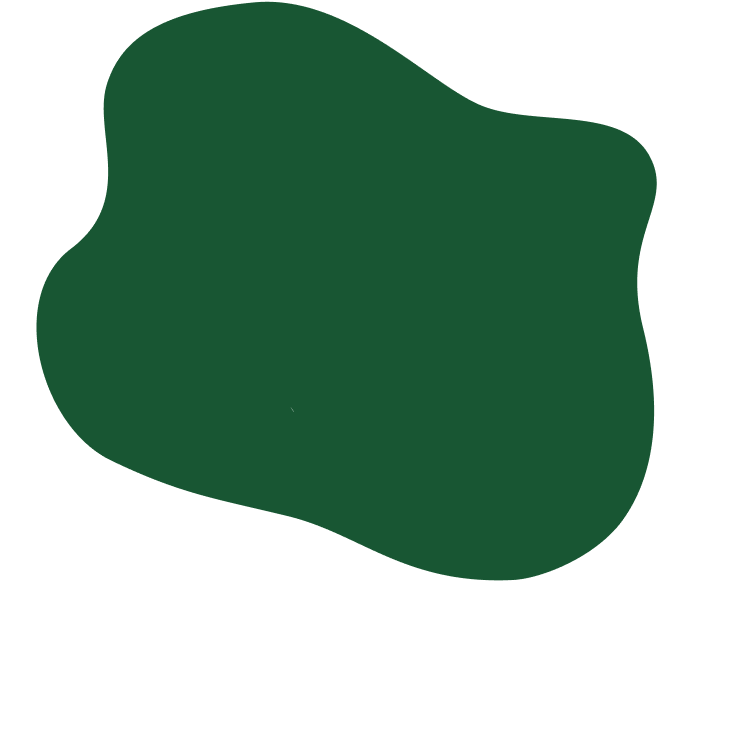 Organic Lactose-Free Sour Cream