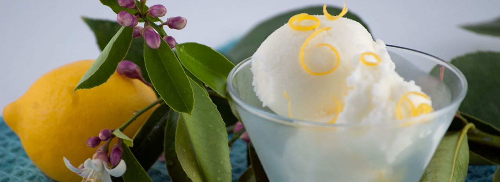 Lemon Kefir Sherbet